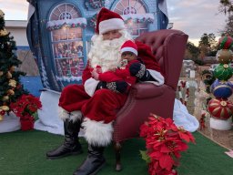 Christmas Festival 2024